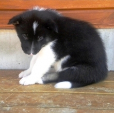 10.05.09%20Trett%20Odin.jpg 